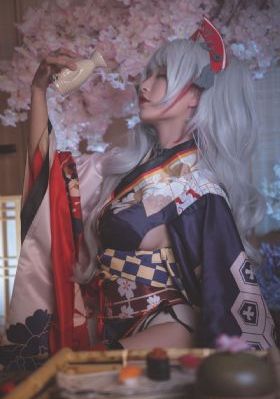 老版杨家将83版